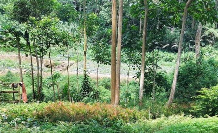 tempat wisata di Kota Bandung