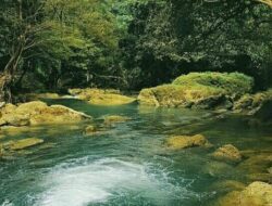 Ini Destinasi Wisata Sukabumi yang Memikat