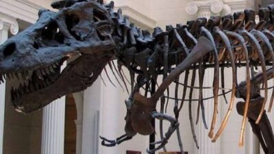 Museum Zoologi Jawa Barat