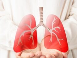 Fungsi dan Struktur Bronkus: Peran Penting dalam Sistem Pernapasan Manusia