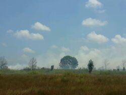 Wisata di Kota Polewali Marajae, Batulicin, Tanah Bumbu, Kalimantan Selatan