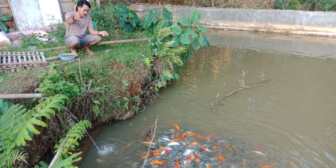 Ikan Gratis di Sukatali