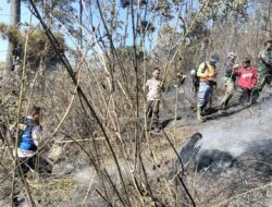 Lagi, Lahan Hutan Terbakar di Gunung Kareumbi Sumedang Api Diduga dari Pembakaran Sampah