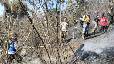 Lagi, Lahan Hutan Terbakar di Gunung Kareumbi Sumedang Api Diduga dari Pembakaran Sampah