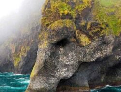 Tak Hanya Ular, Batu Mirip Gajah Juga Buat Geger Media Sosial