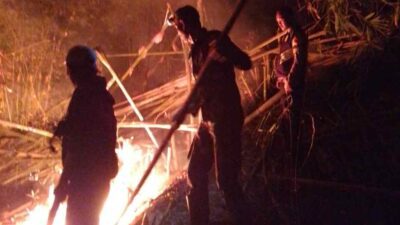 Warga Dievakuasi Buntut Kebakaran Kebun Bambu di Pamulihan Sumedang