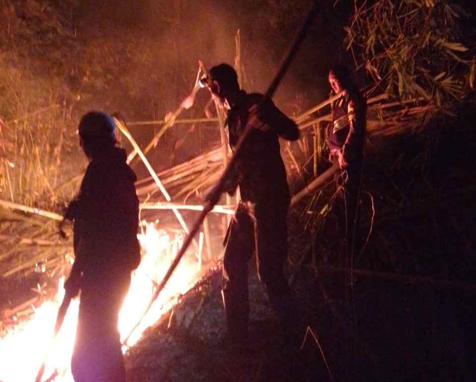 Kebakaran Kebun Bambu di Pamulihan
