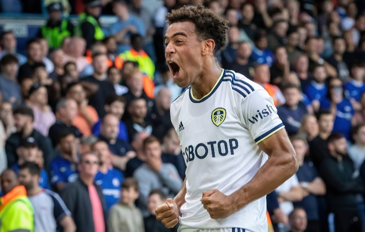 Klausul Pelepasan Tyler Adams