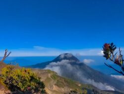 Bukit Batu Daya: Permata Alam Unik dengan Keajaiban Bentuk dan Pesona Kalimantan Barat