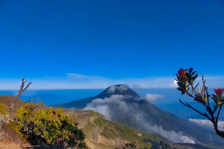 Bukit Batu Daya Kalimantan Barat