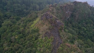 55.220 Hektar Hutan dan Lahan di Sumedang Terbakar Selama 2 Bulan, Kerugian Capai 2 Miliar Lebih