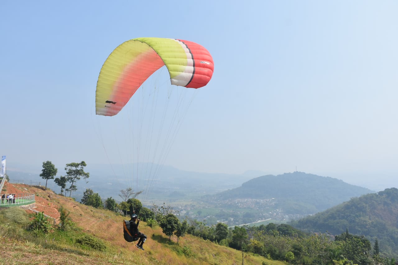 Atlet Paralayang