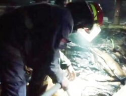 Gudang Rongsok di Baleendah Hancur di Amuk Api, Penyebab Masih Diselidiki