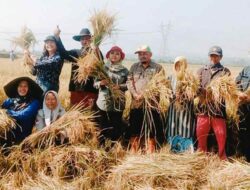 Bencana Kekeringan Ancam Lahan Sawah di Kabupaten Bandung, Ini Langkah Distan