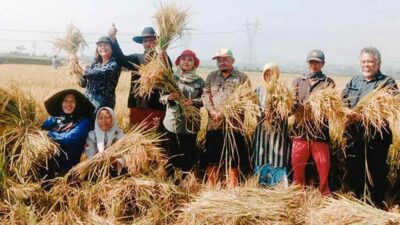 Bencana Kekeringan Ancam Lahan Sawah di Kabupaten Bandung, Ini Langkah Distan