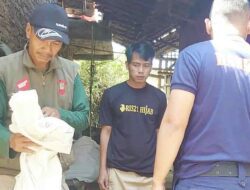 Disdamkar Kabupaten Bandung Evakuasi Kukang yang Hebohkan Warga Cicalengka