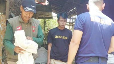 Kukang berkeliaran di Cicalengka