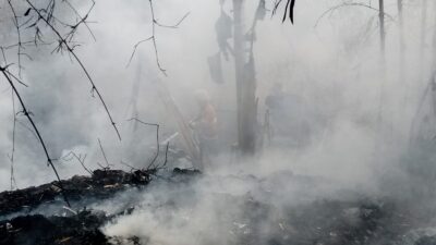 Sehari, 5 Kebakaran Lahan Terjadi, Damkar Sumedang Maraton Padamkan Api