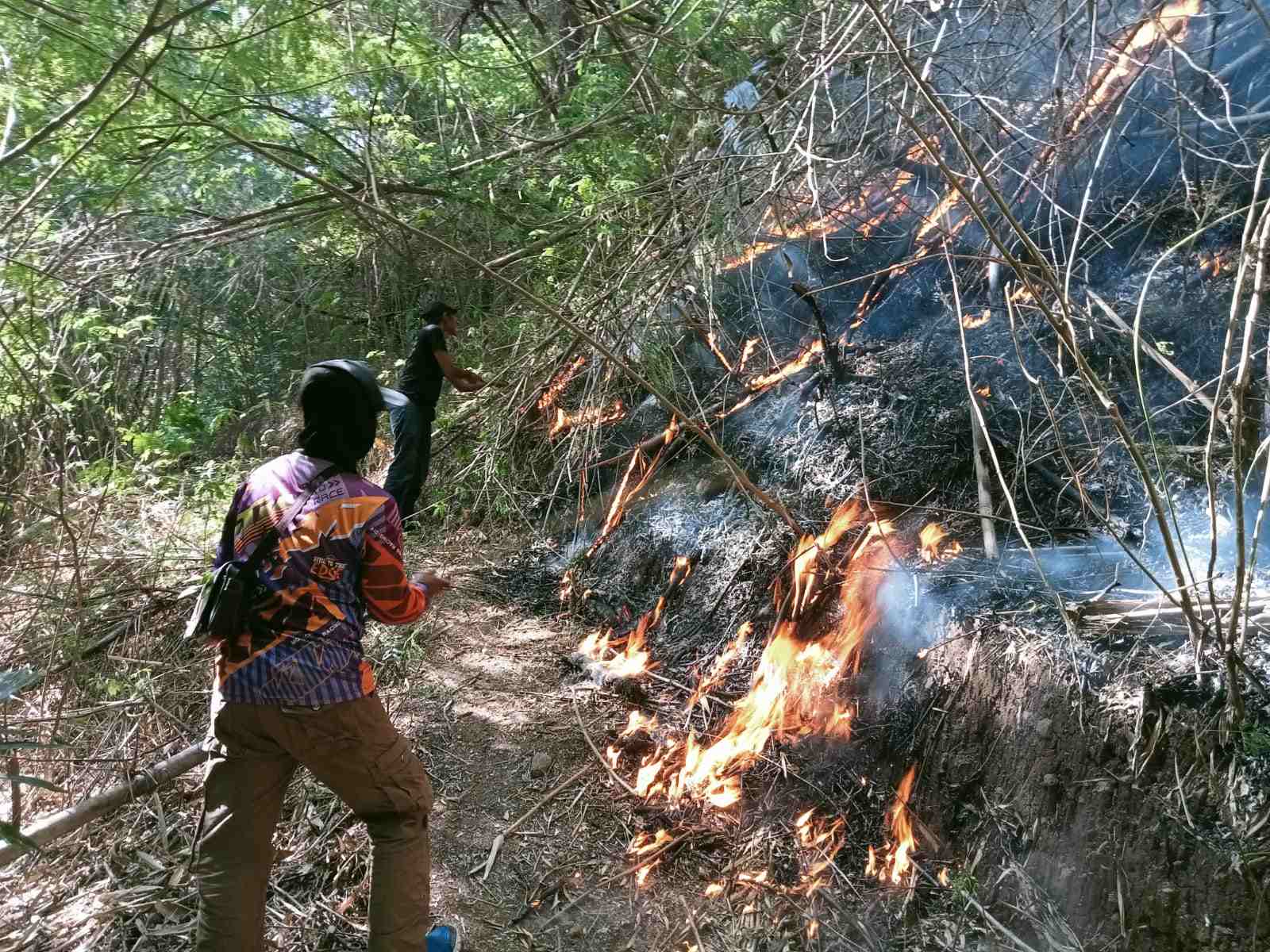 Hutan Gunung Geulis Terbakar