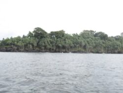 Menemukan Ketenangan di Pulau Denawan: Surga Tersembunyi di Kalimantan Selatan