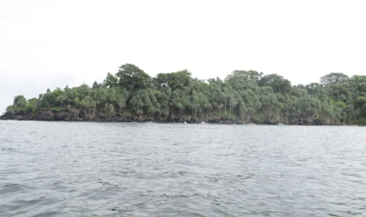 Pulau Denawan Kalimantan Selatan