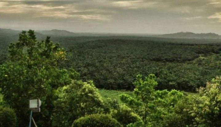 Gunung Kayangan di Pelaihari