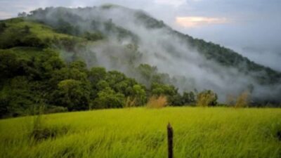Bukit Lebak Naga Kalimantan Selatan