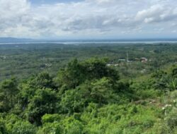 Menjelajahi Keajaiban Taman Hutan Meranti di Kotabaru, Kalimantan Selatan