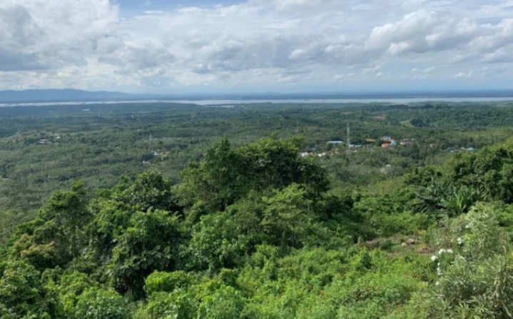 Taman Hutan Meranti Kotabaru