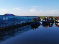 Kalang Hadangan: Destinasi Wisata Kerbau Rawa di Hulu Sungai Selatan, Kalimantan Selatan