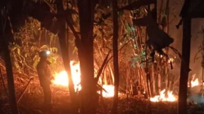 Iseng Buang Puntung Rokok, Kebun Bambu di Sumedang Ludes Terbakar