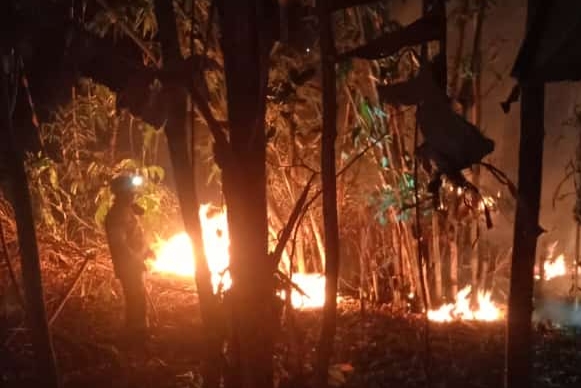 Kebun Bambu di Sumedang Terbakar