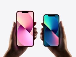 Apakah iPhone Mini Akan Dihentikan? Tanda-Tanda Terbaru Menunjukkan Kemungkinan Penghentian Produksi