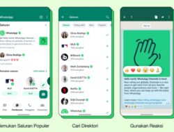WhatsApp Resmi Luncurkan Fitur WhatsApp Channel di Indonesia