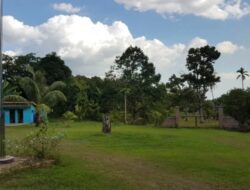 Menikmati Surga Durian di Meek Farm, Destinasi Agrowisata Terbaik di Kota Banjarbaru