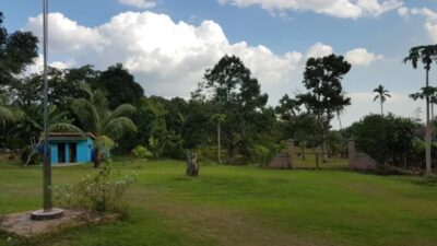 Surga Durian di Meek Farm Banjarbaru Kalimantan Selatan