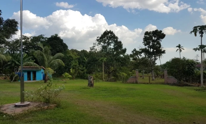 Surga Durian di Meek Farm Banjarbaru Kalimantan Selatan