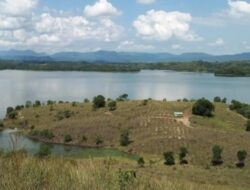 Bukit Banjarbaru: Pesona Alam yang Memukau di Tengah Kota