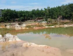 Danau Biru Pugaan: Pesona Alam yang Tenang untuk Liburan Keluarga di Tabalong, Kalimantan Selatan