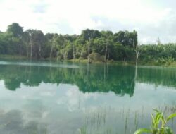 Danau Cermin: Oase Ketenangan di Tabalong, Kalimantan Selatan