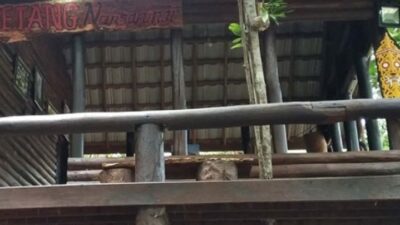 Wisata Rumah Betang Nansarunai