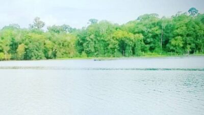 Danau Sadar Kalimantan Tengah