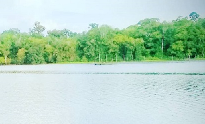 Danau Sadar Kalimantan Tengah