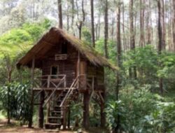 Gunung Masigit Kareumbi, Destinasi Wisata Alam Terbaik di Sumedang, Jawa Barat