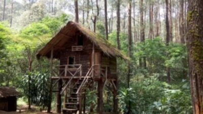 Gunung Masigit Kareumbi Sumedang
