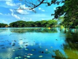 Pesona dan Misteri Danau Malawen, Permata Tersembunyi Kalimantan Tengah