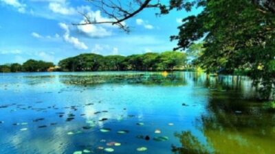 Danau Malawen Kalimantan Tengah