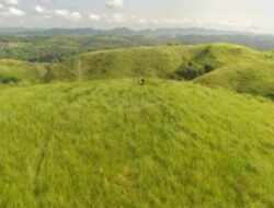 Bukit Manggindang: Pesona Alam Hijau di Tapin, Kalimantan Selatan