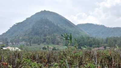 Kecamatan Leles