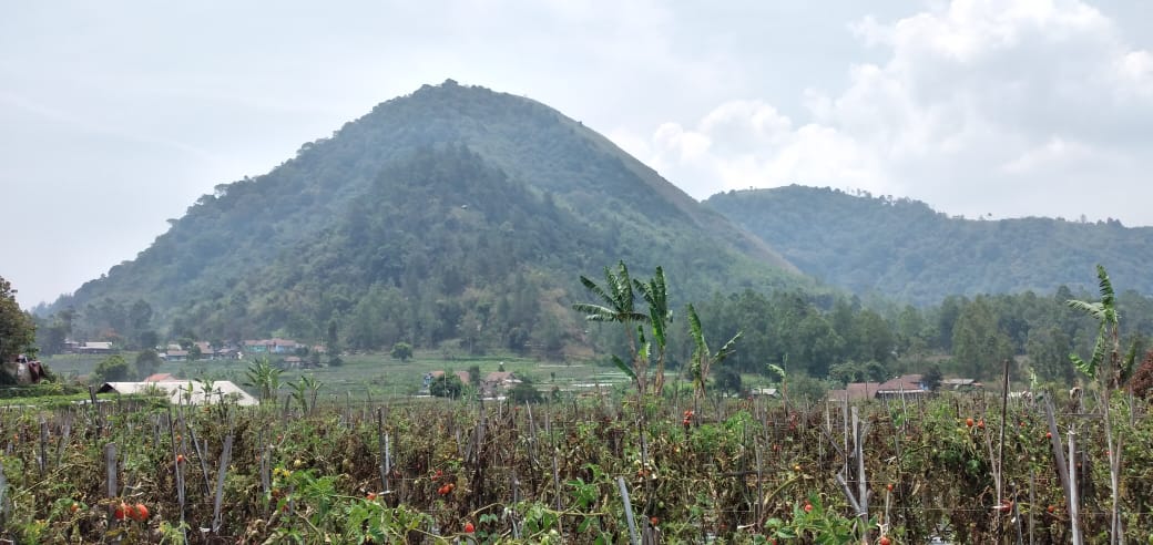 Kecamatan Leles